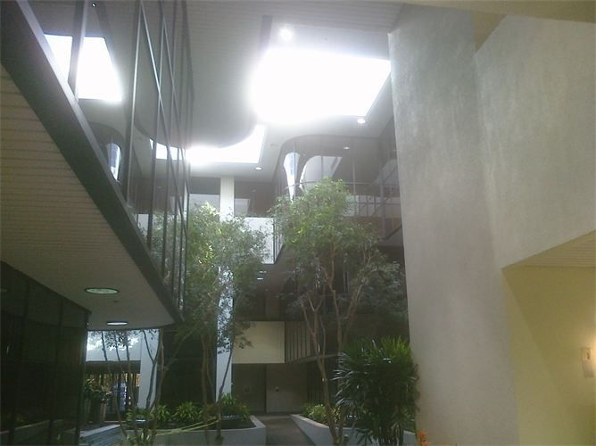 Interior atrium painting project
